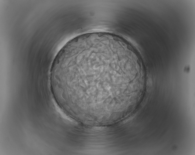 X0000114721423200911121723