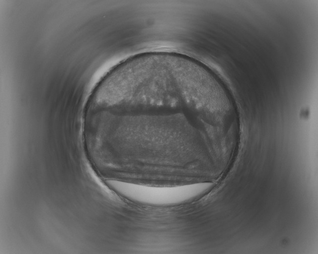 X0000114721424200911121723