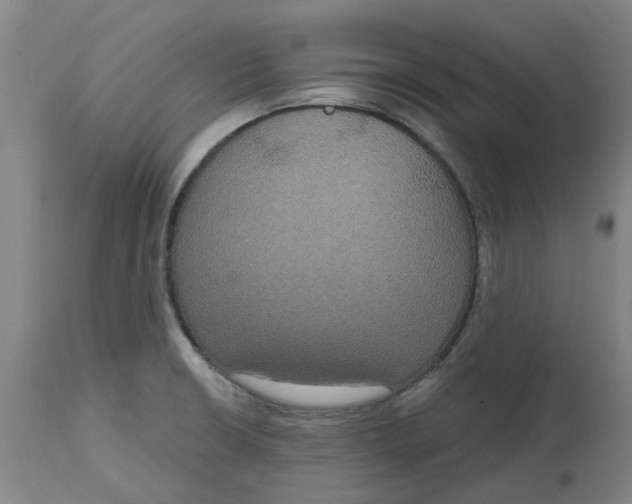 X0000114721426200911121723