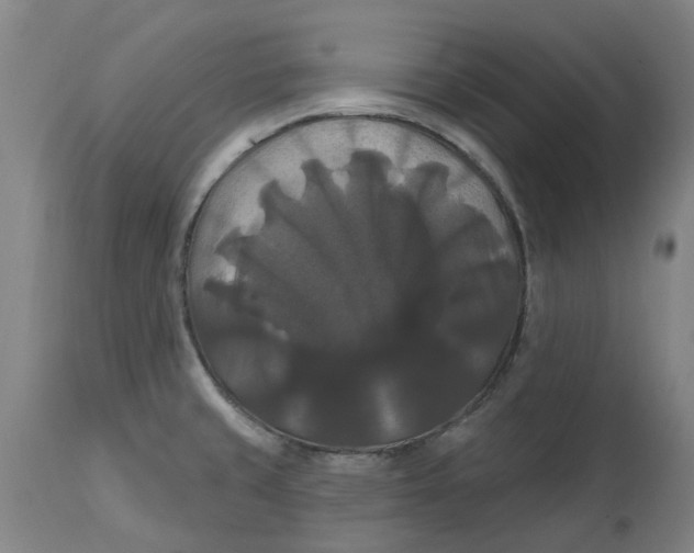 X0000114721429200911121723