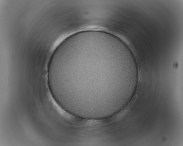 X0000114721430200911121723