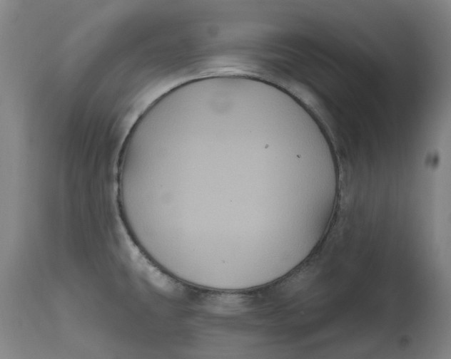 X0000114721431200911121723