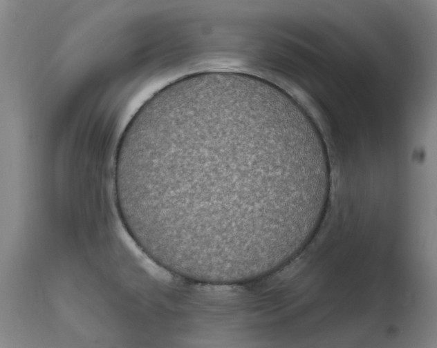 X0000114721432200911121723