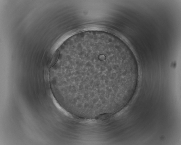 X0000114721433200911121723