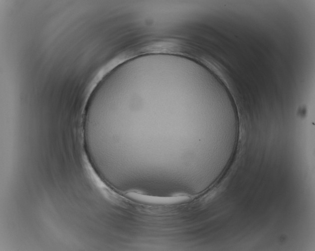 X0000114721434200911121723