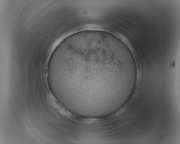 X0000114721435200911121723