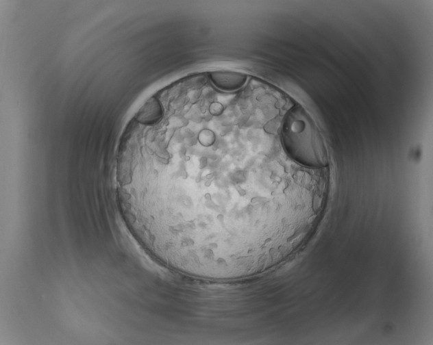 X0000114721436200911121723