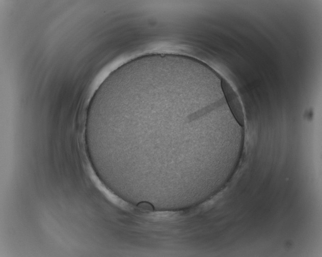 X0000114721437200911121723