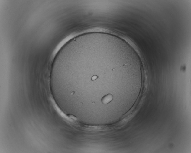 X0000114721438200911121723