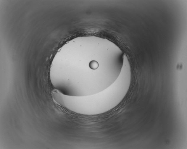 X0000114721441200911121722