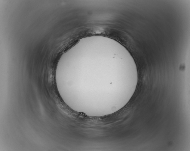 X0000114721442200911121722