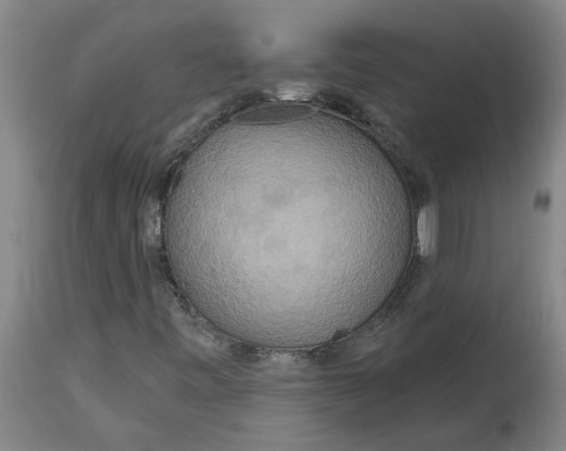 X0000114721443200911121722