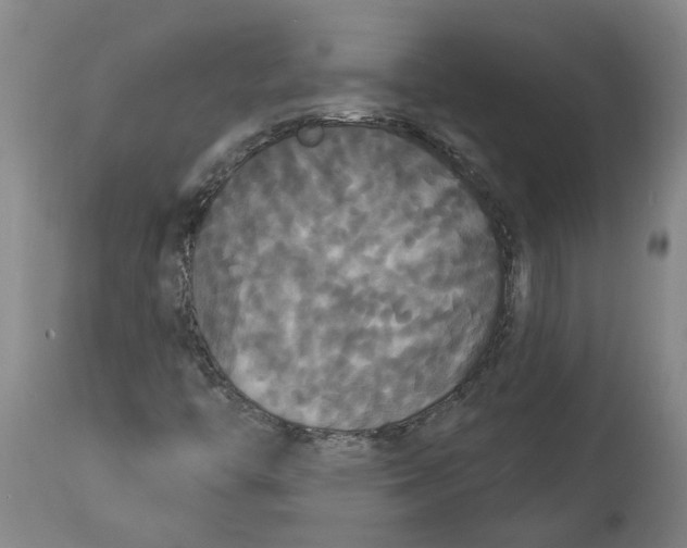 X0000114721446200911121722