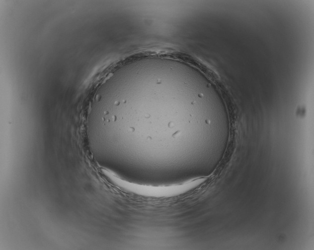 X0000114721447200911121722