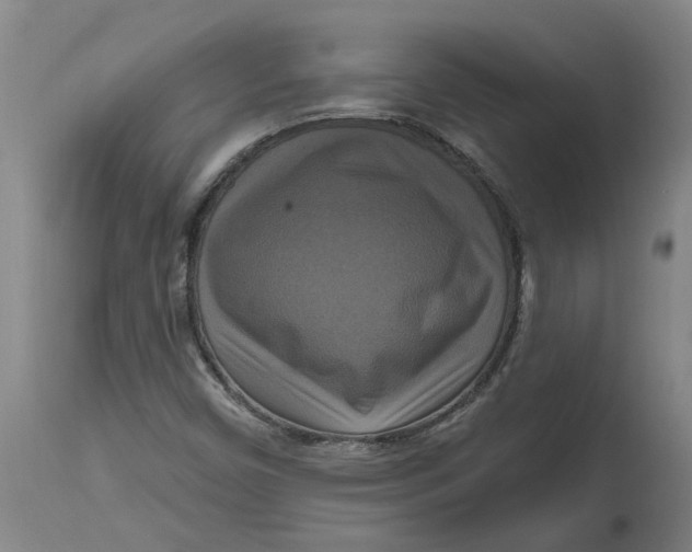 X0000114721450200911121722