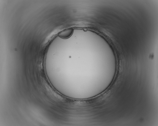 X0000114721451200911121722