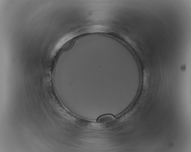 X0000114721453200911121722