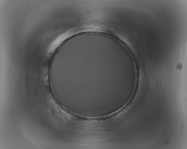 X0000114721455200911121722