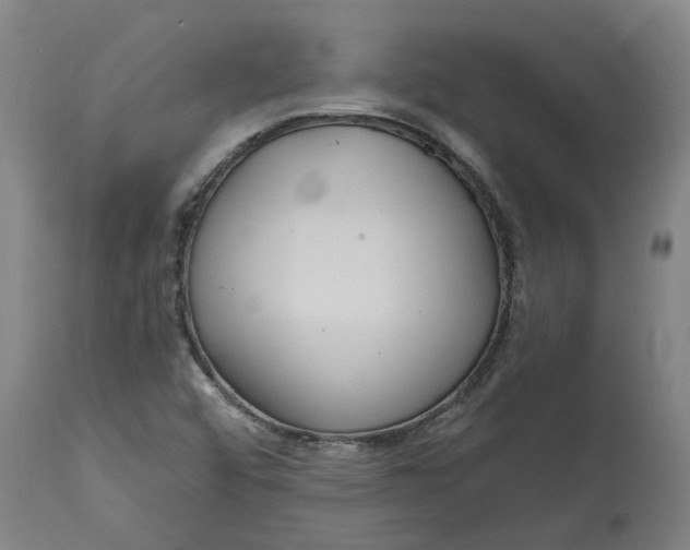 X0000114721456200911121722