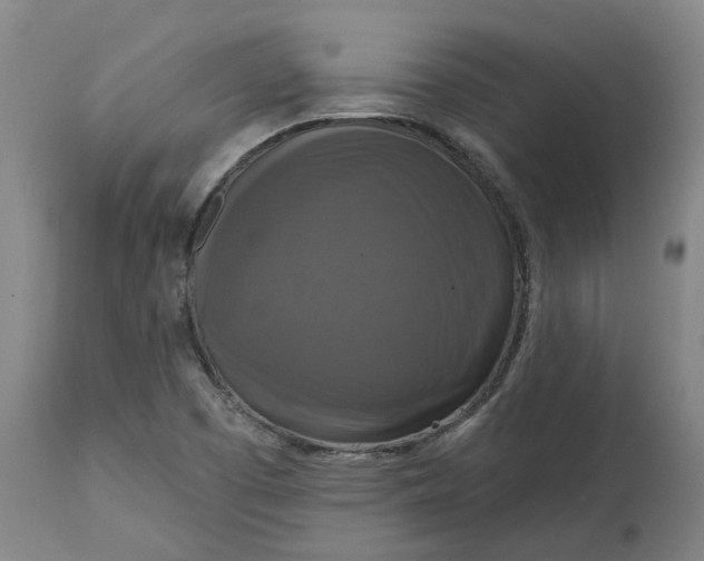 X0000114721457200911121722