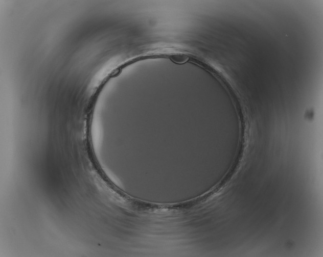 X0000114721459200911121722