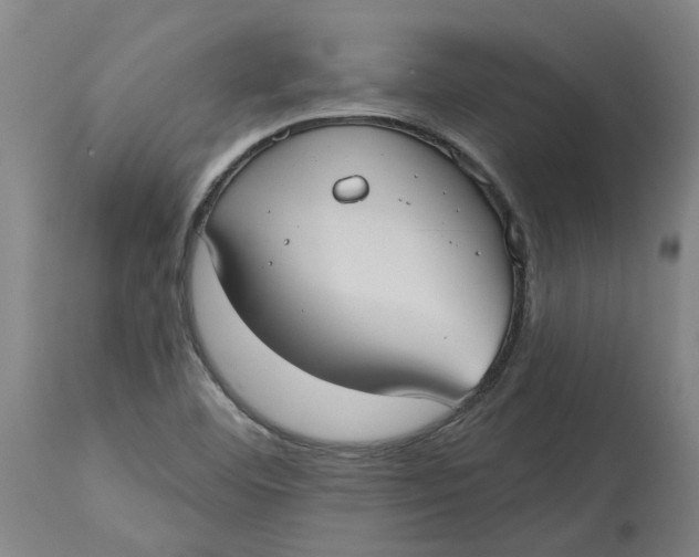 X0000114721460200911121722