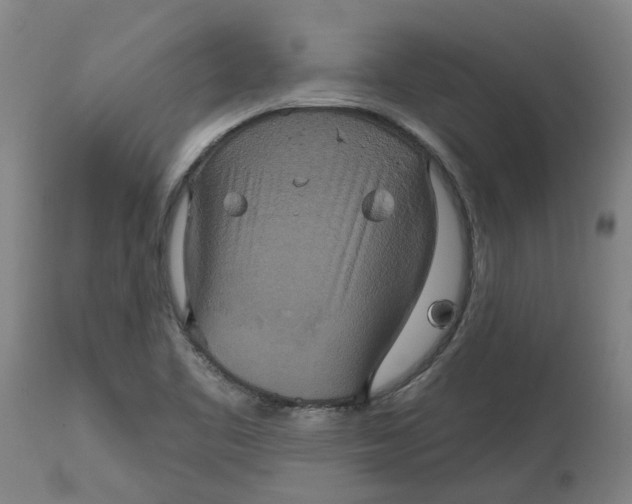 X0000114721461200911121722