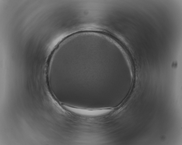 X0000114721463200911121722