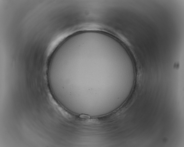 X0000114721464200911121722