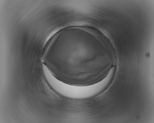 X0000114721465200911121722