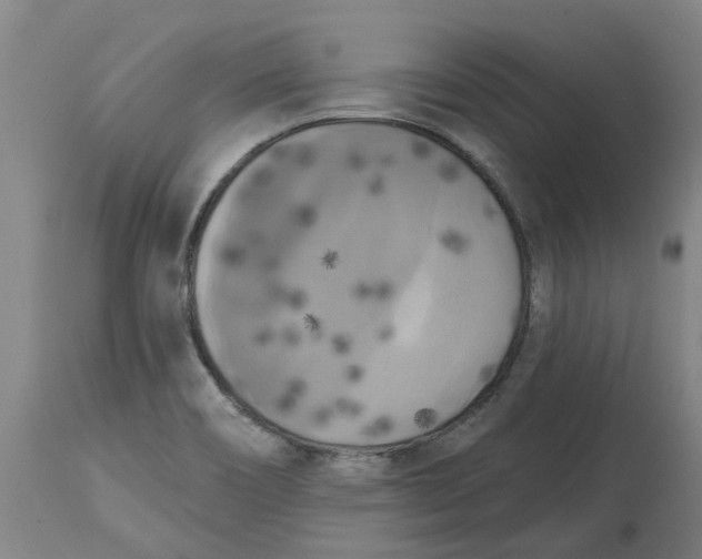 X0000114721466200911121722