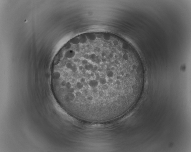 X0000114721467200911121722