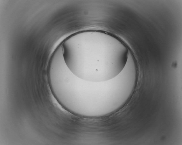 X0000114721468200911121722