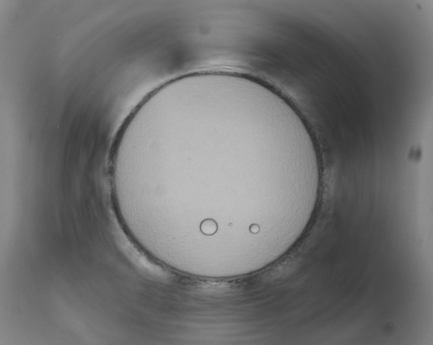 X0000114721470200911121722