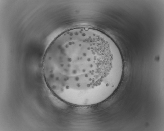 X0000114721474200911121722