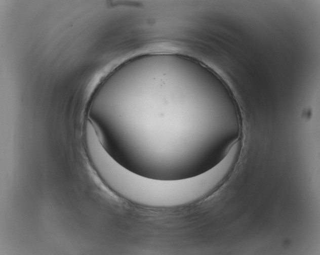 X0000114721477200911121722