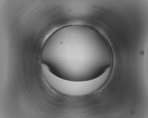 X0000114721481200911121722