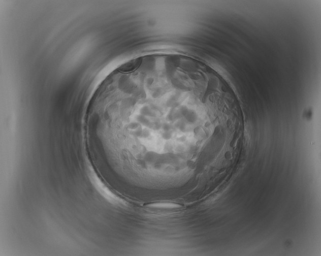 X0000114721482200911121722