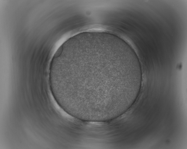 X0000114721483200911121722