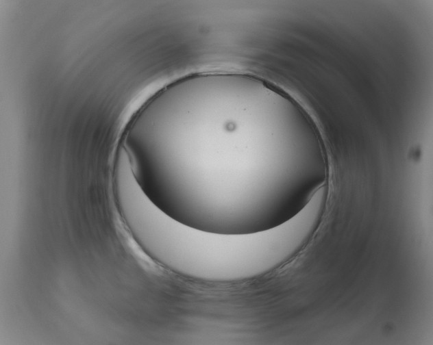 X0000114721485200911121722