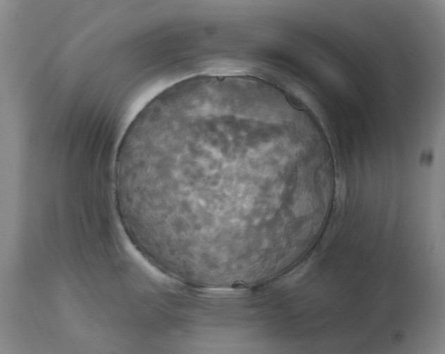 X0000114721487200911121722