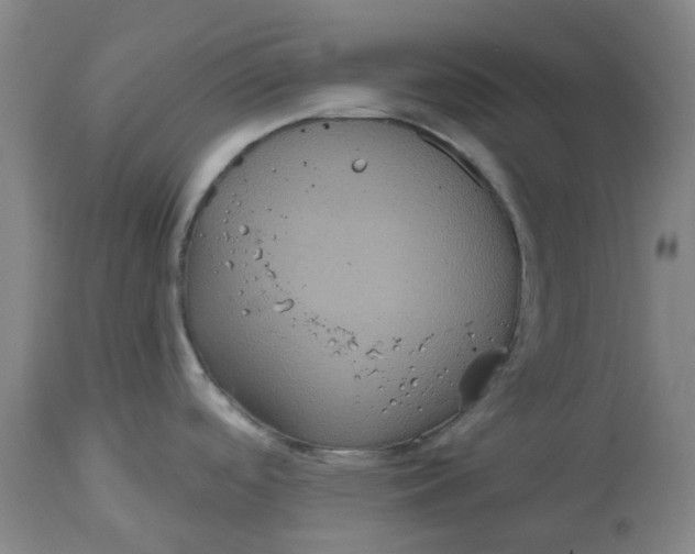 X0000114721488200911121722