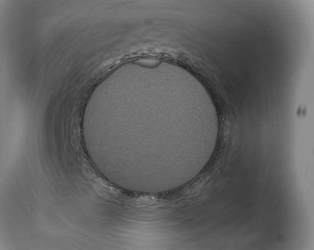 X0000114721489200911121721