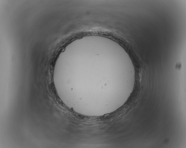 X0000114721493200911121721