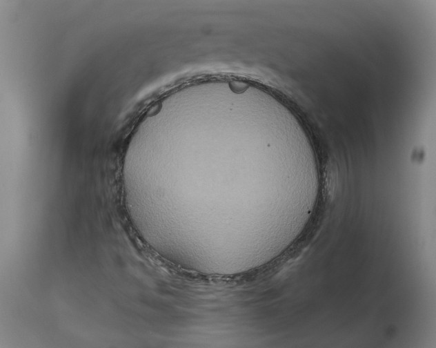 X0000114721494200911121721