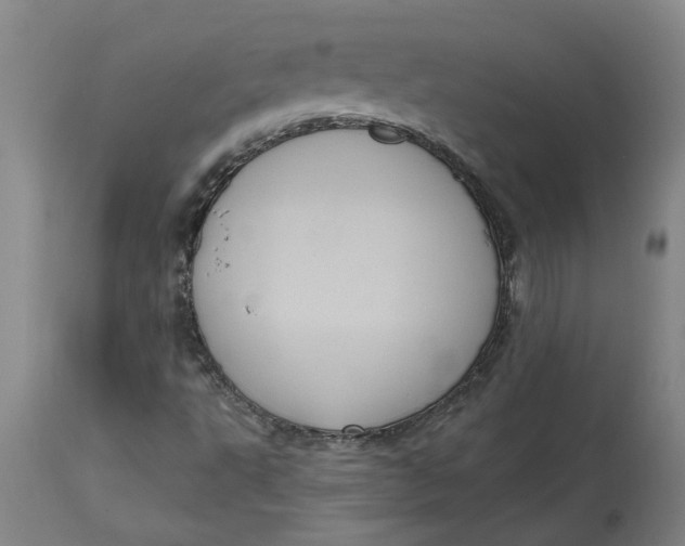 X0000114721495200911121721