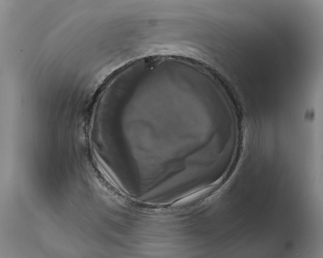 X0000114721497200911121721