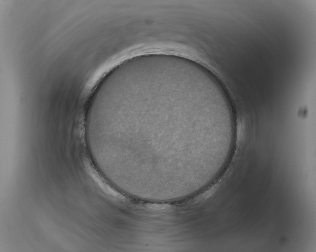 X0000114721498200911121721