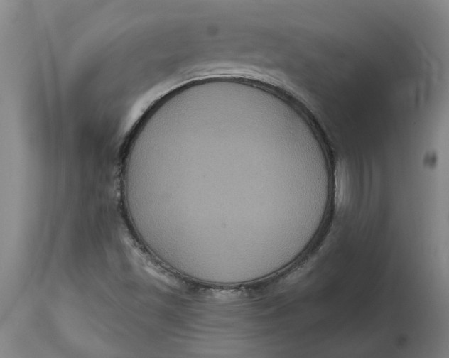 X0000114721501200911121721