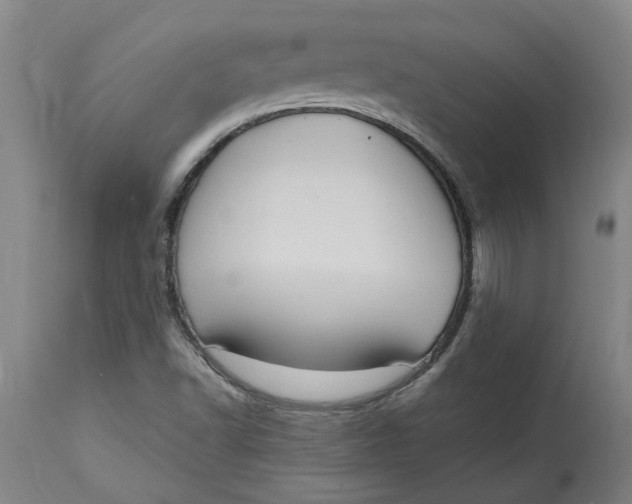 X0000114721502200911121721